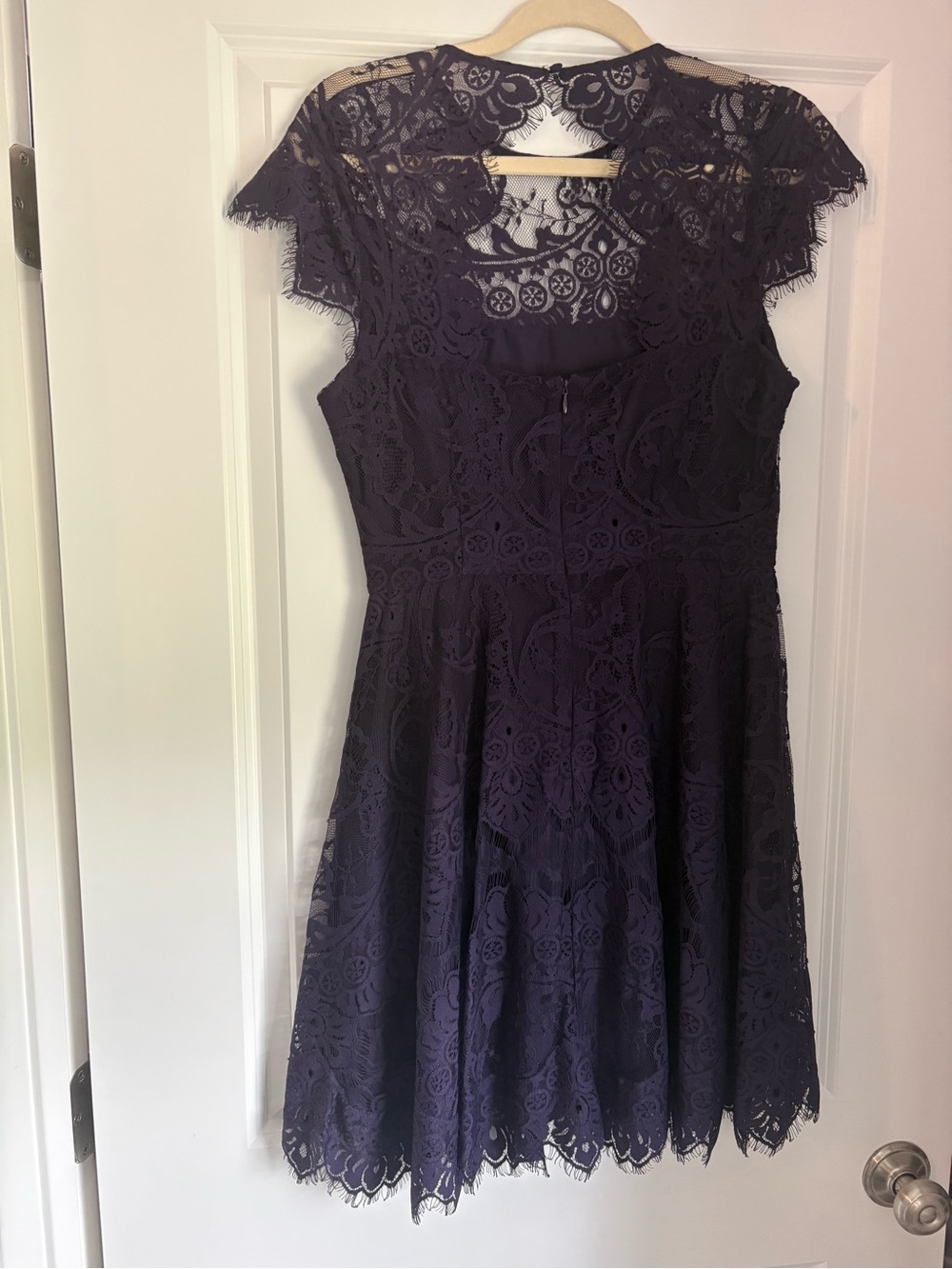 BB Dakota Dark Purple Lace A-Line Mini Dress
